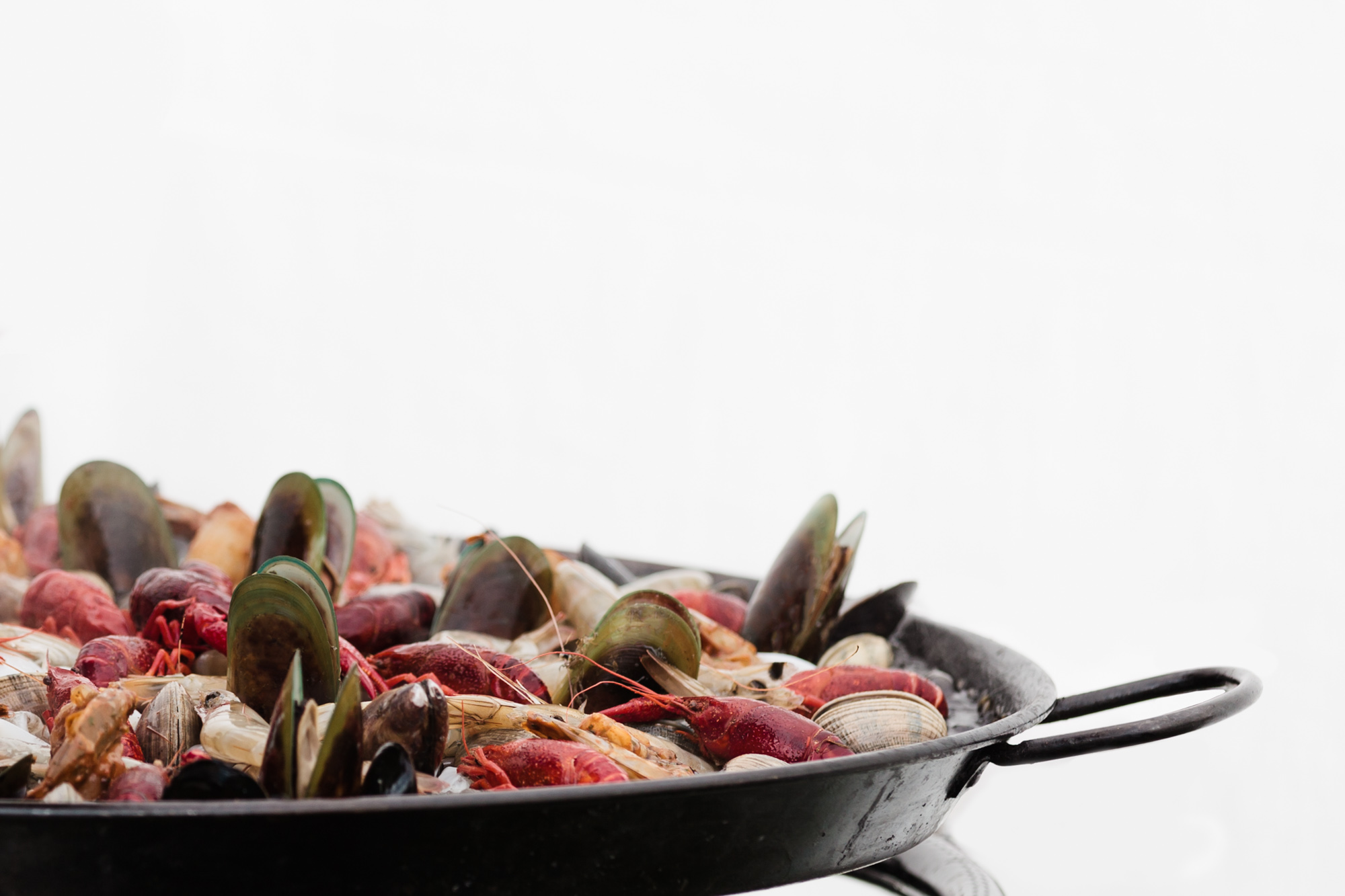 food-product-photography-white-background