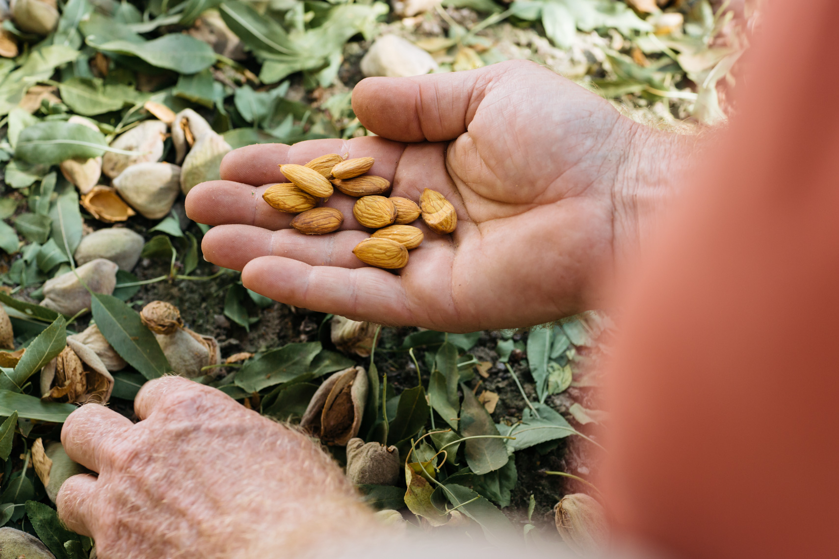 agricultural lifestyle food photographer San Diego