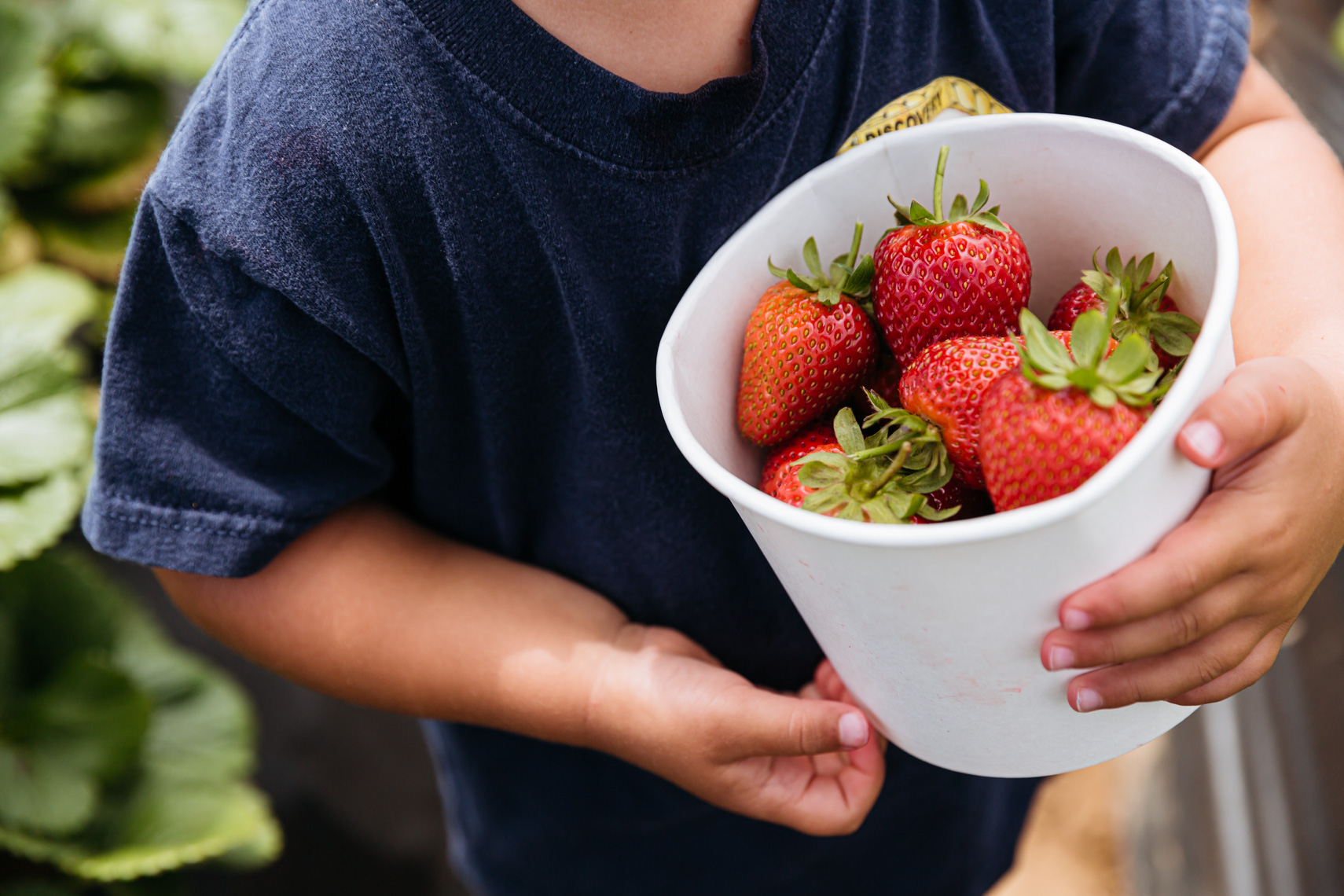Orange County lifestyle branding food photography